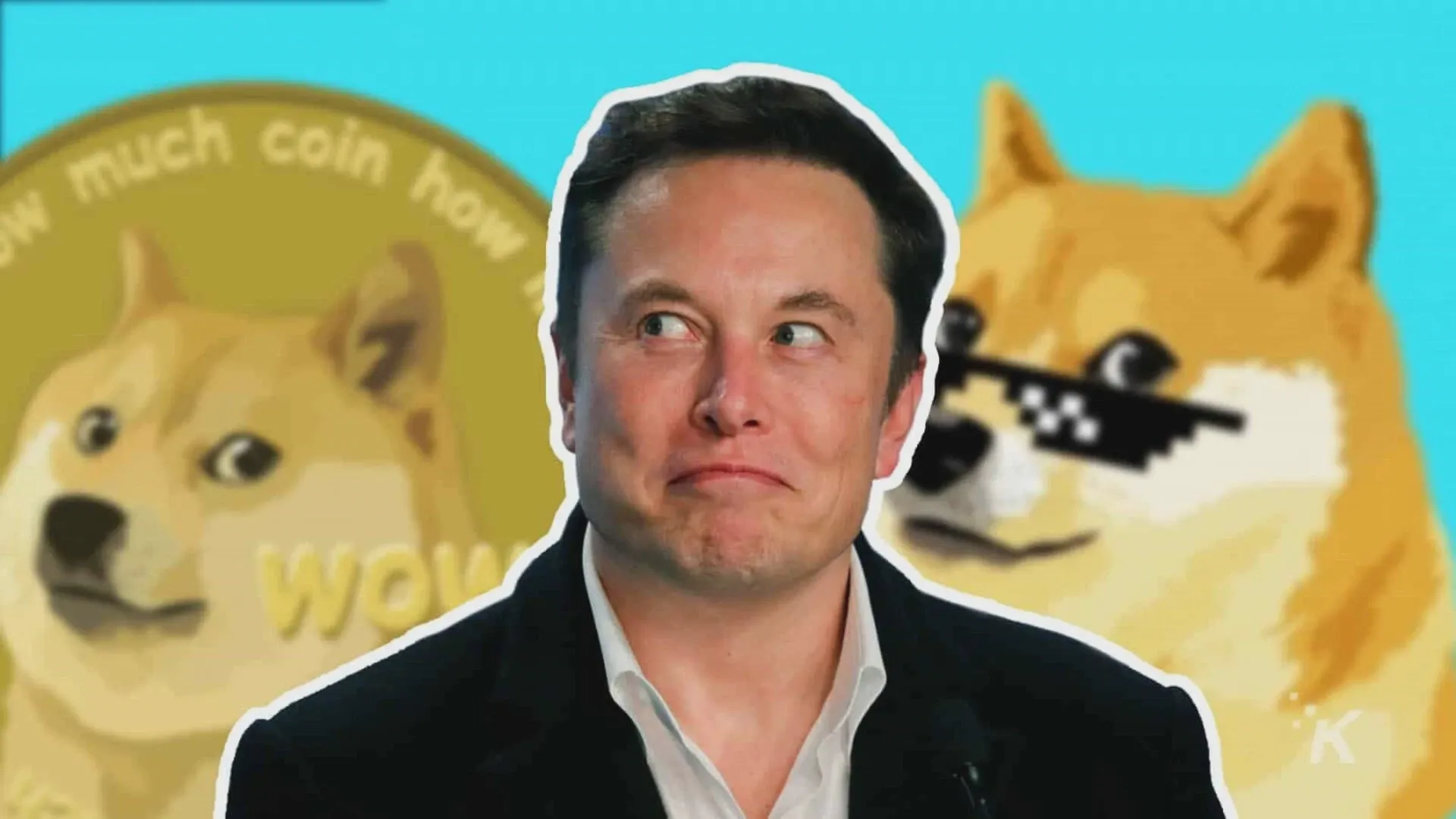 Elon Musk revela que Governo dos EUA não tem nenhum plano para Dogecoin